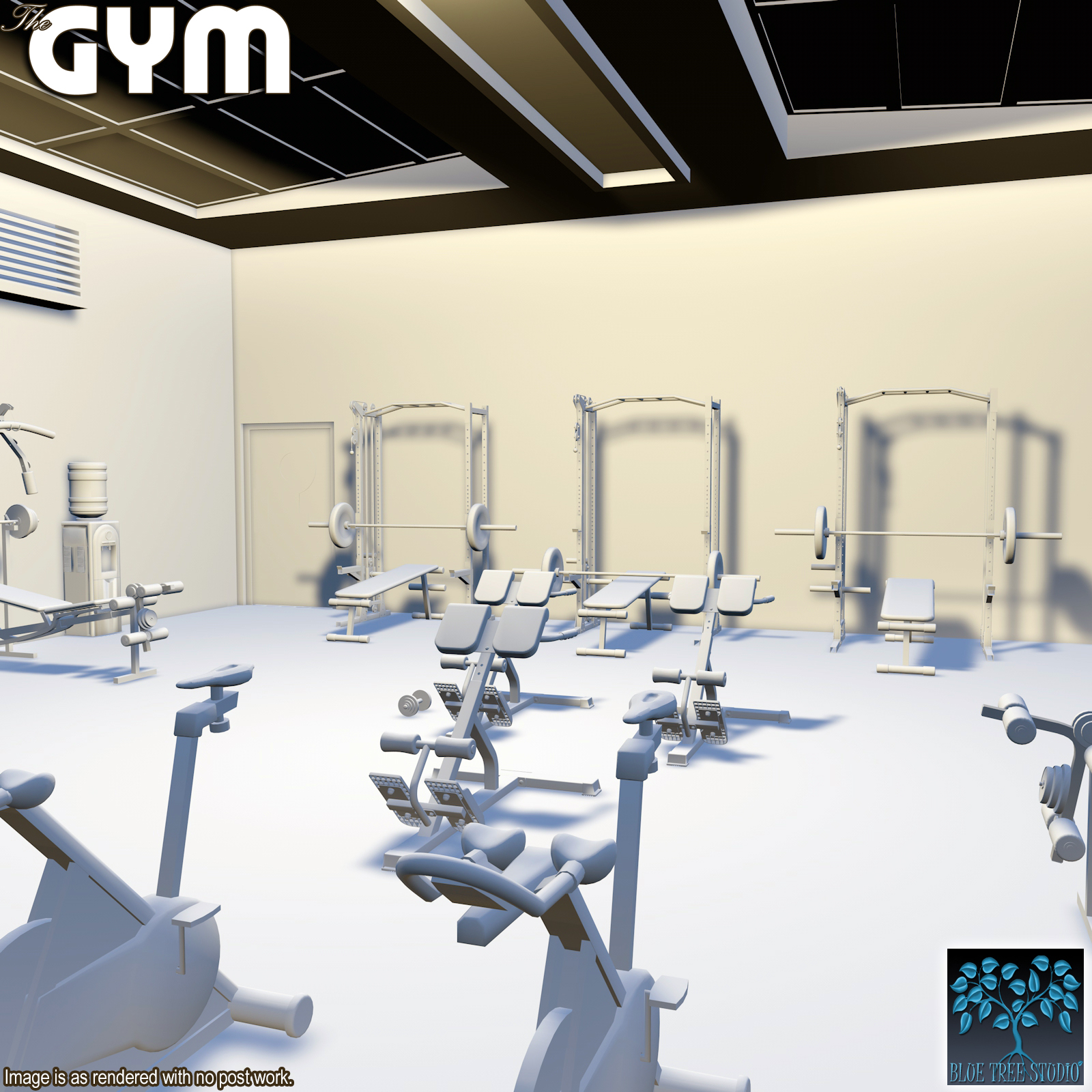 The Gym by N/A
