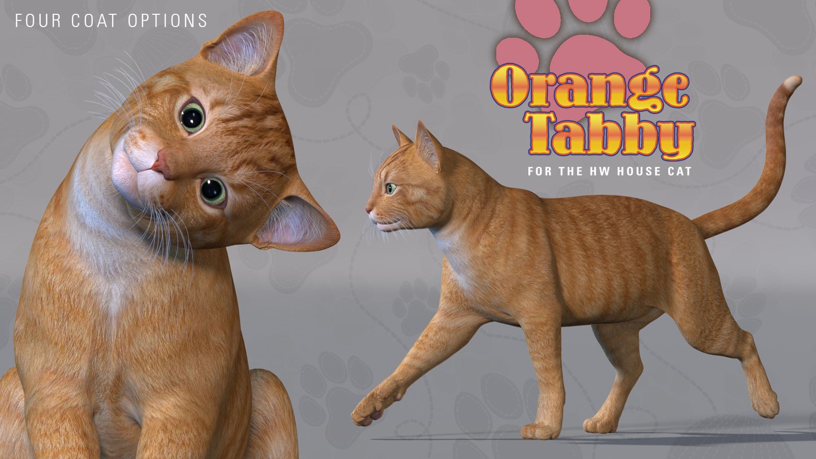 CWRW Orange Tabby for the HiveWire House Cat by N/A