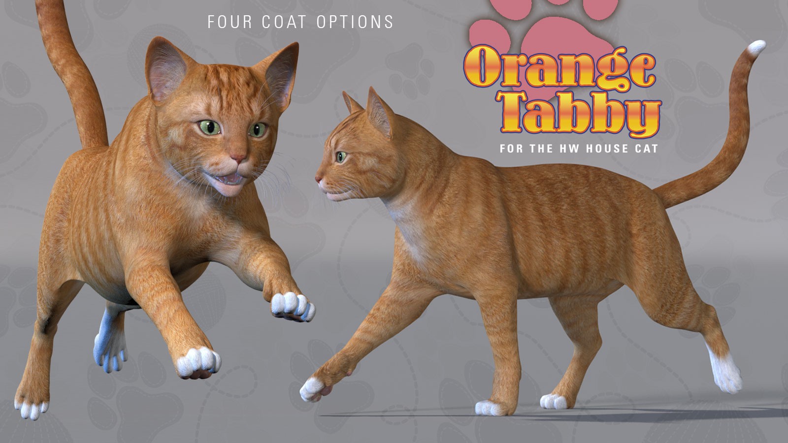 CWRW Orange Tabby for the HiveWire House Cat by N/A