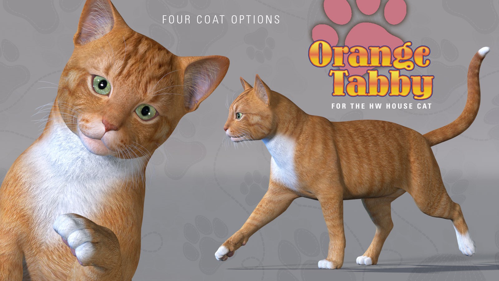 CWRW Orange Tabby for the HiveWire House Cat by N/A