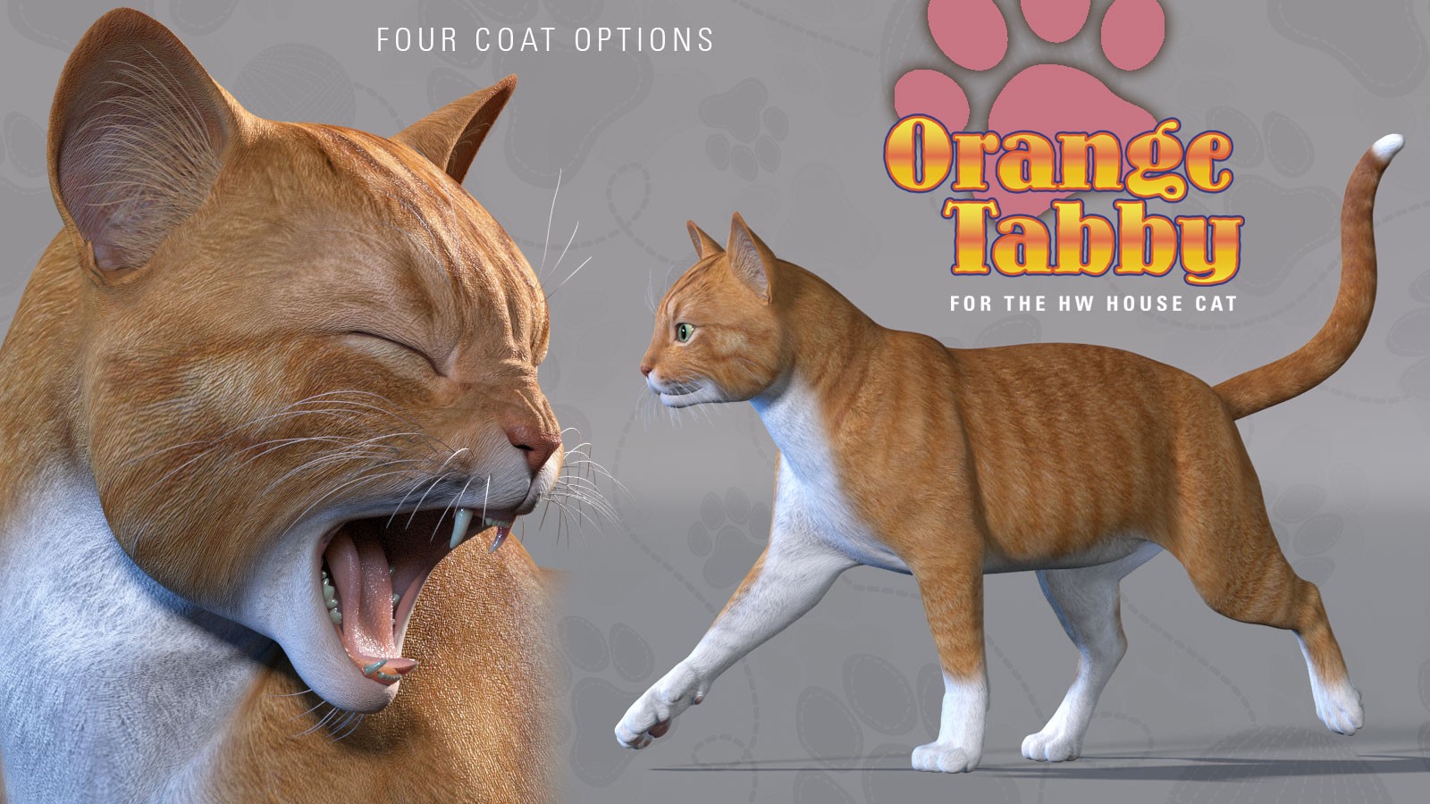 CWRW Orange Tabby for the HiveWire House Cat by N/A