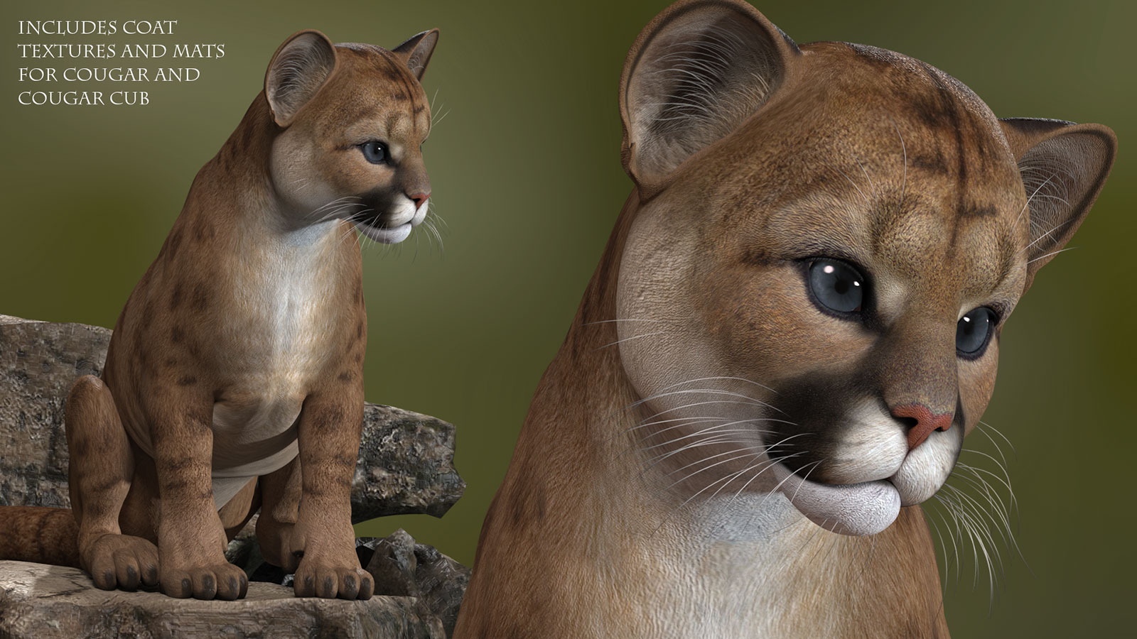 HiveWire Cougar by N/A