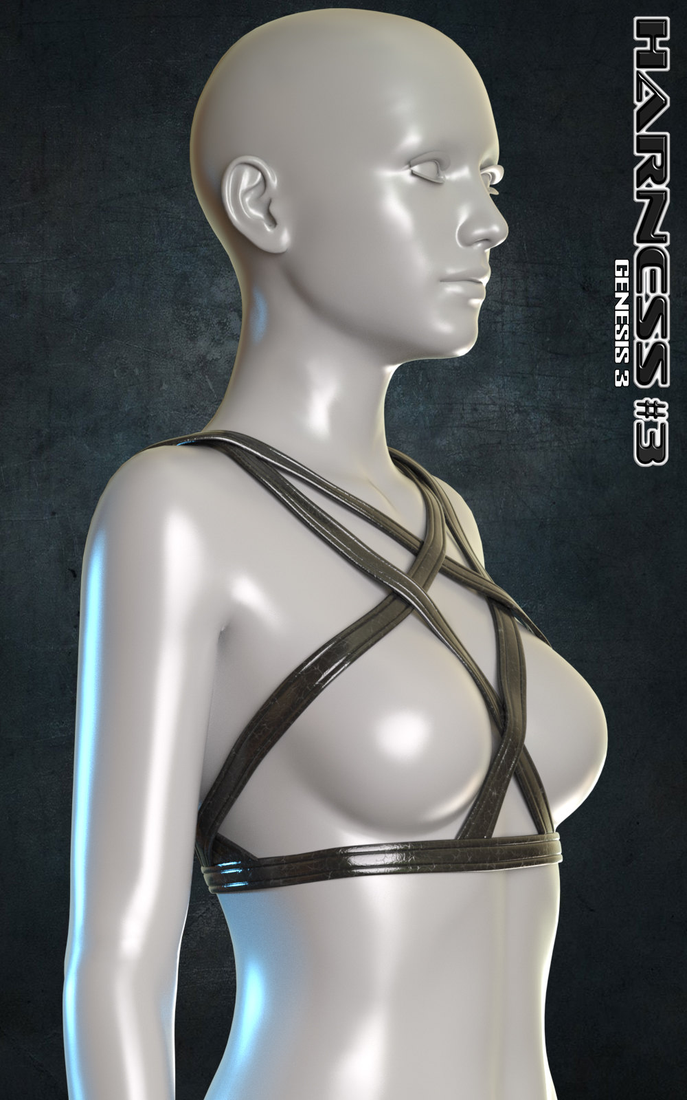 Exnem Harness 3 for Genesis 3 Female by N/A