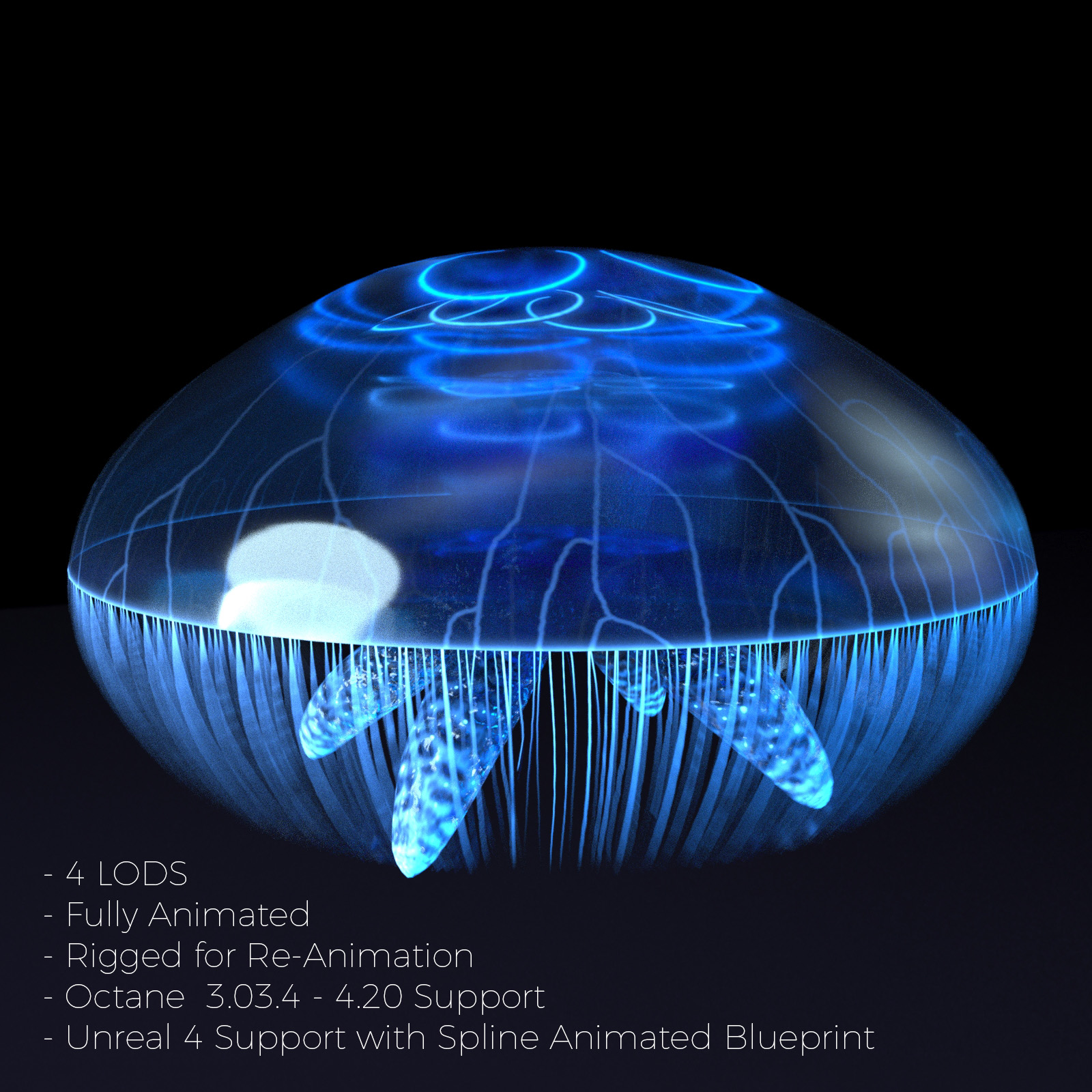 Jellyfish - Animated with UE4 & Octane Support by N/A
