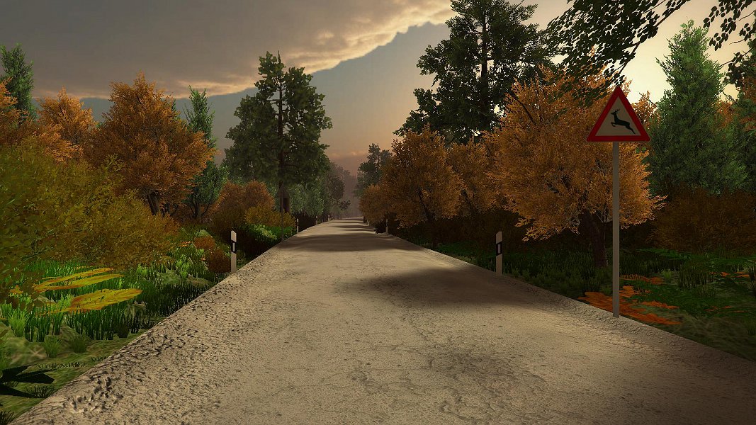 Vegetation Models - Extended License by N/A