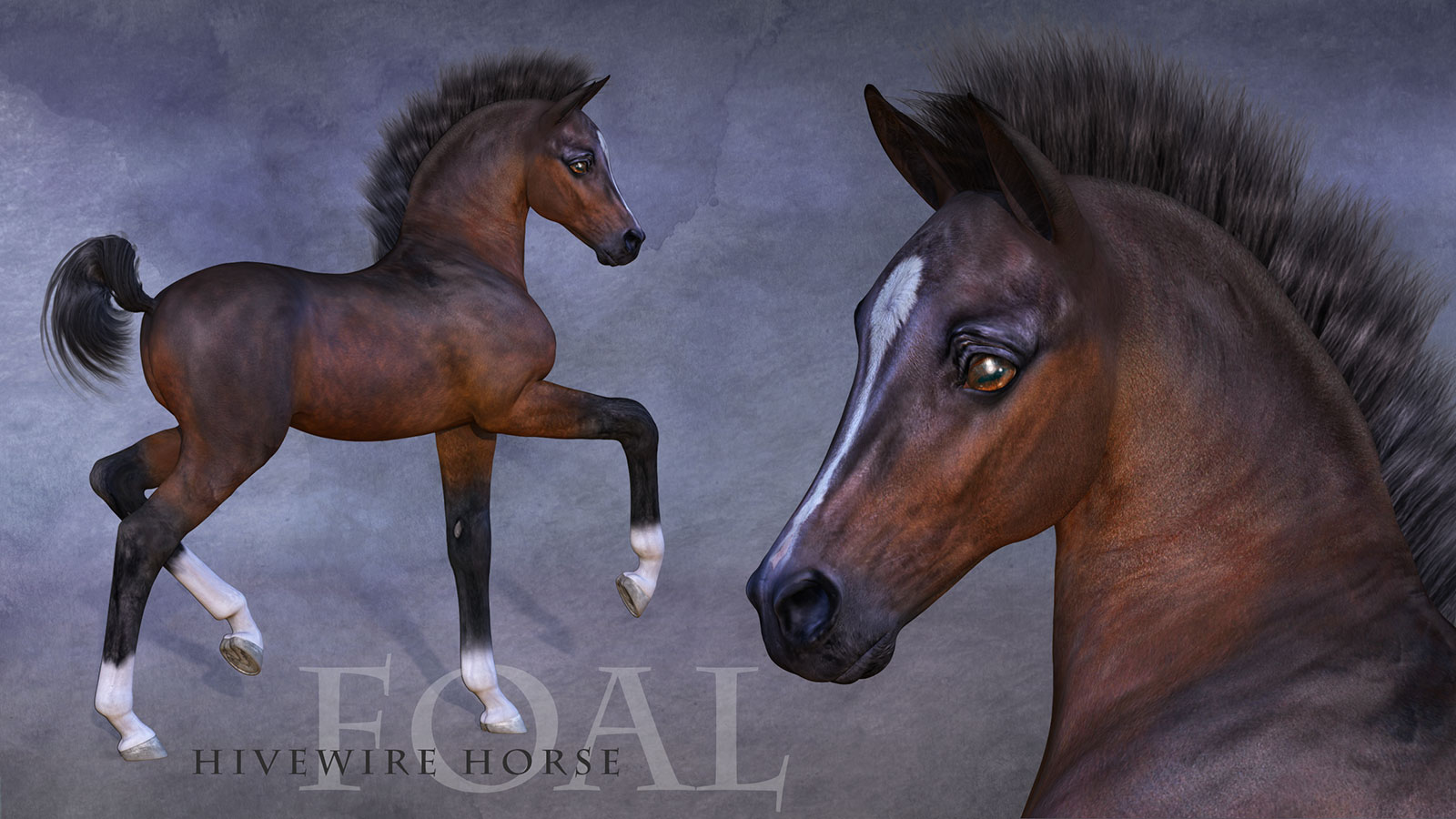 HiveWire Foal by N/A
