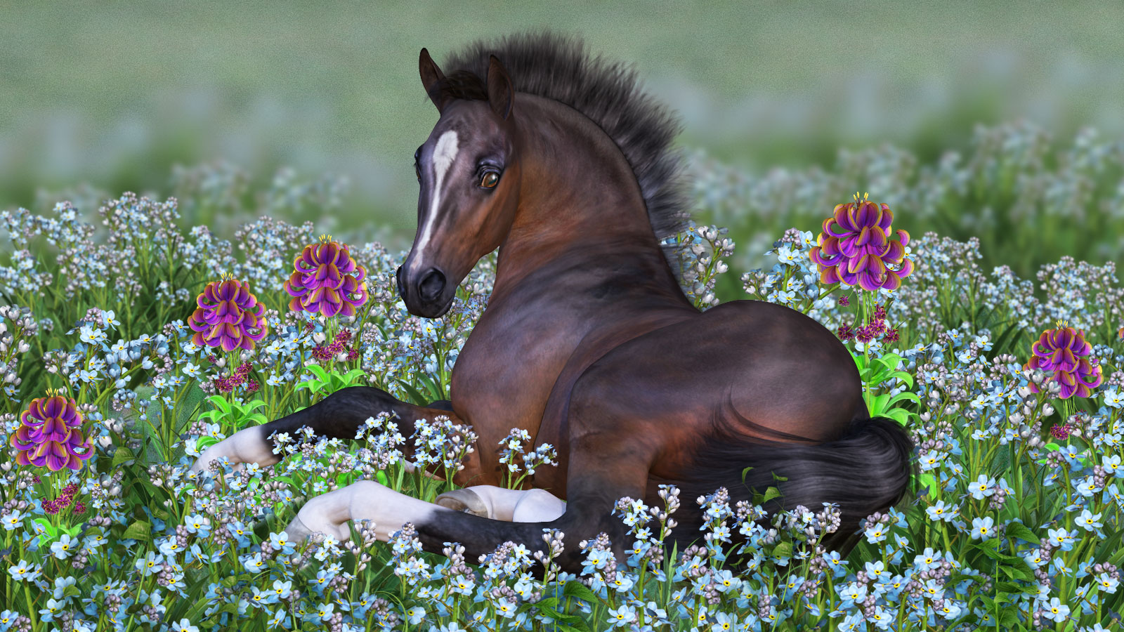 HiveWire Foal by N/A