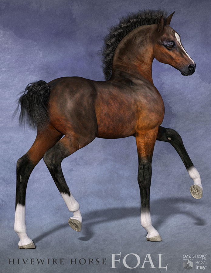 HiveWire Foal by N/A