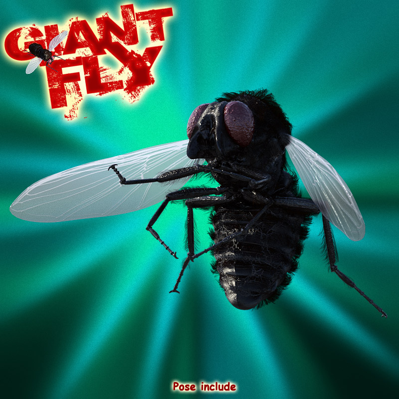 Giant Fly for DS Iray by N/A