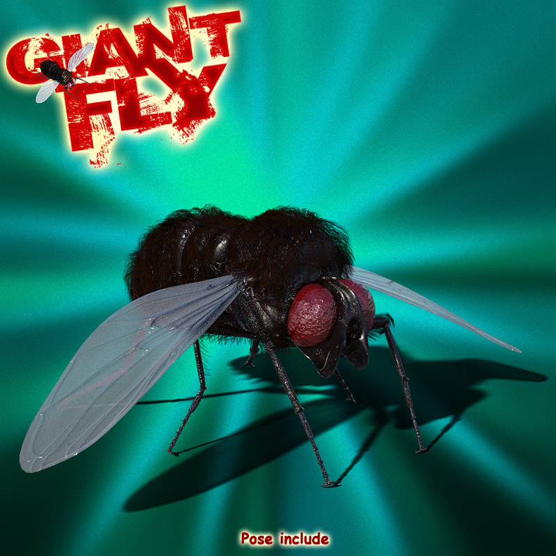 Giant Fly for DS Iray by N/A