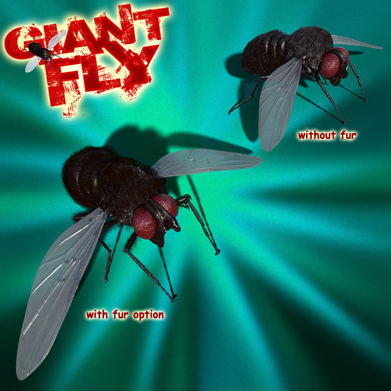 Giant Fly for DS Iray by N/A