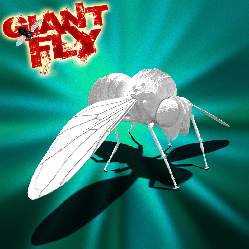 Giant Fly for DS Iray by N/A