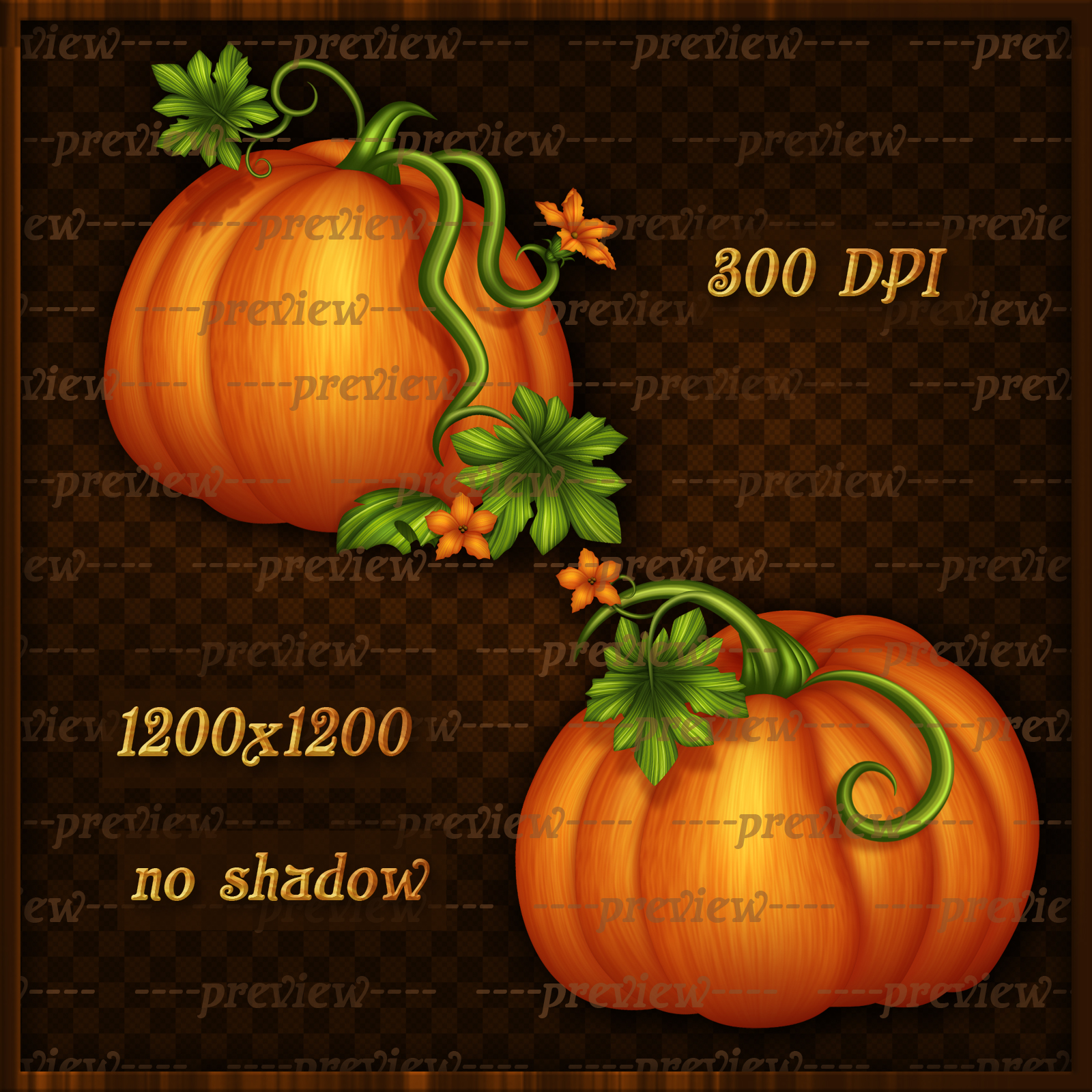 Fall Pumpkins Elements by N/A