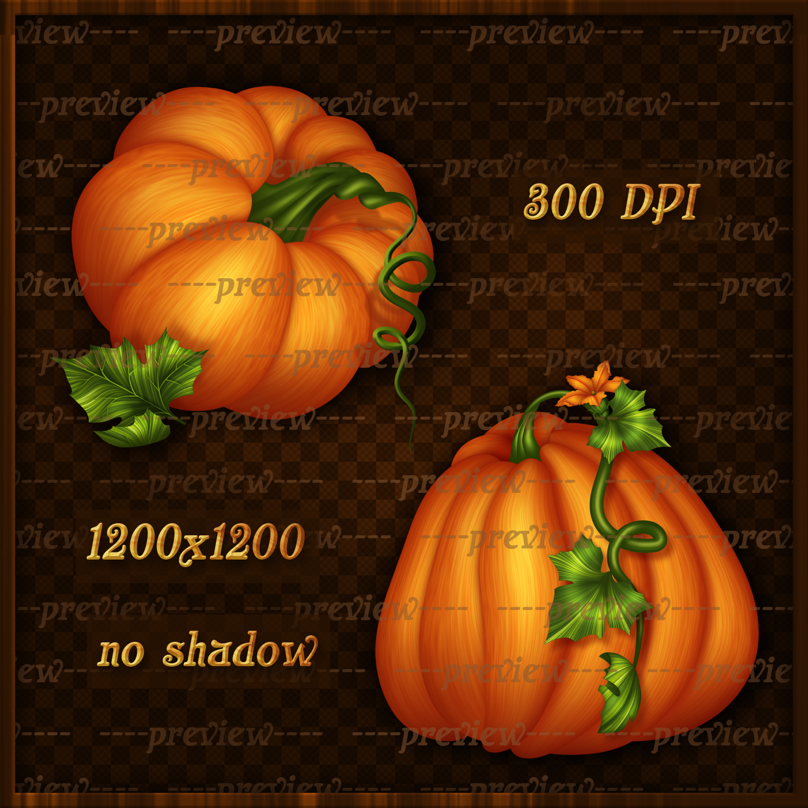 Fall Pumpkins Elements by N/A