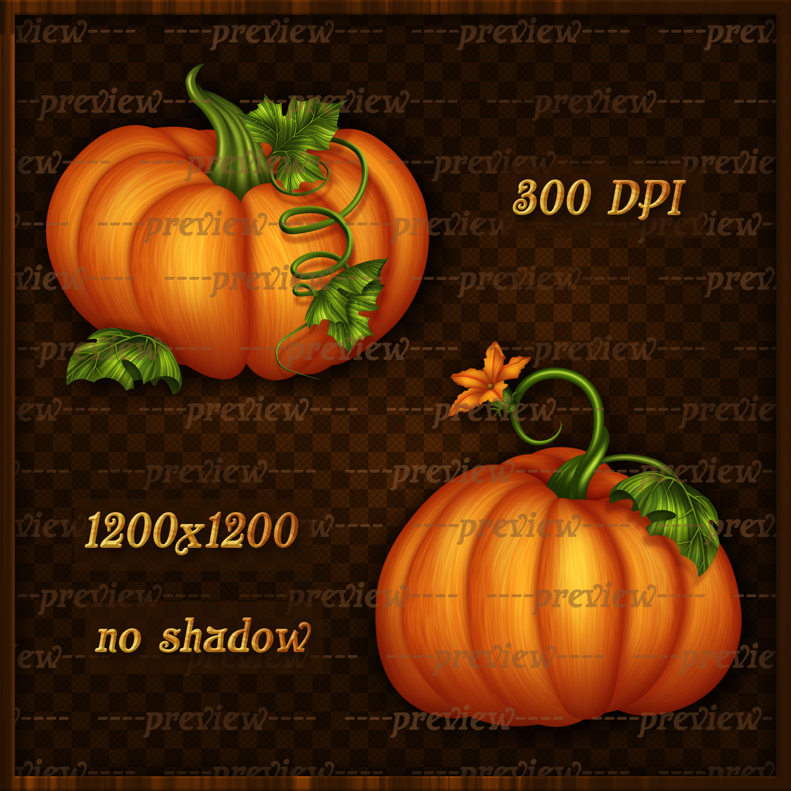 Fall Pumpkins Elements by N/A