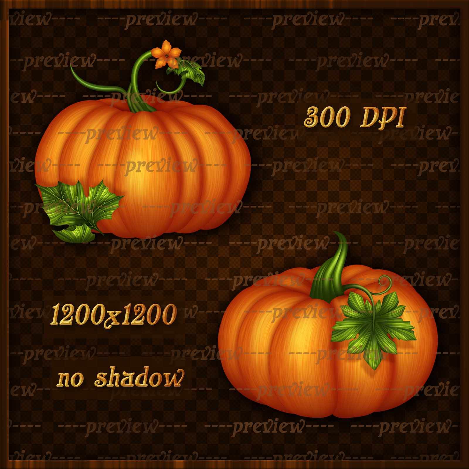 Fall Pumpkins Elements by N/A