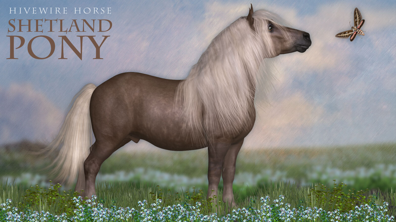 HiveWire Shetland Pony by N/A