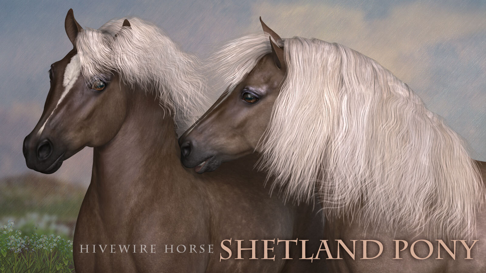 HiveWire Shetland Pony by N/A
