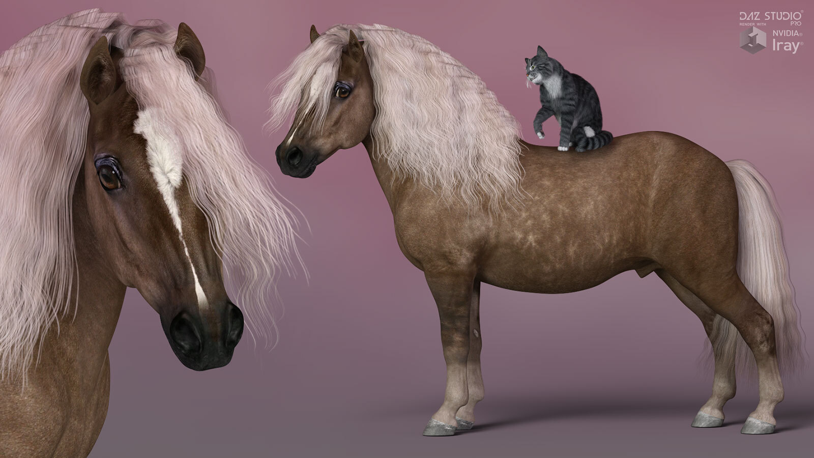 HiveWire Shetland Pony by N/A