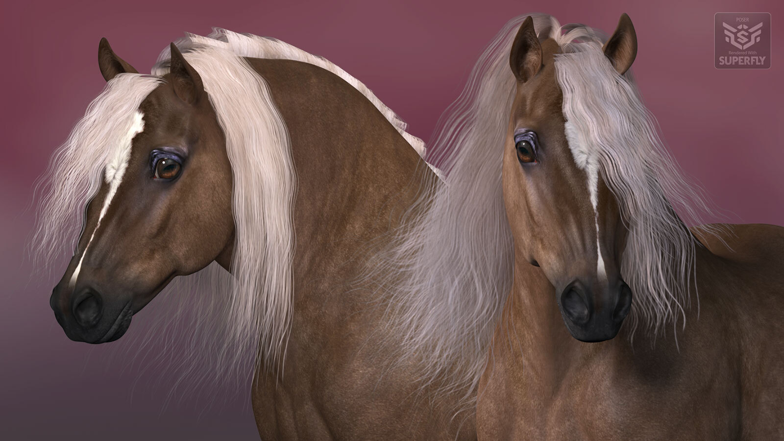 HiveWire Shetland Pony by N/A