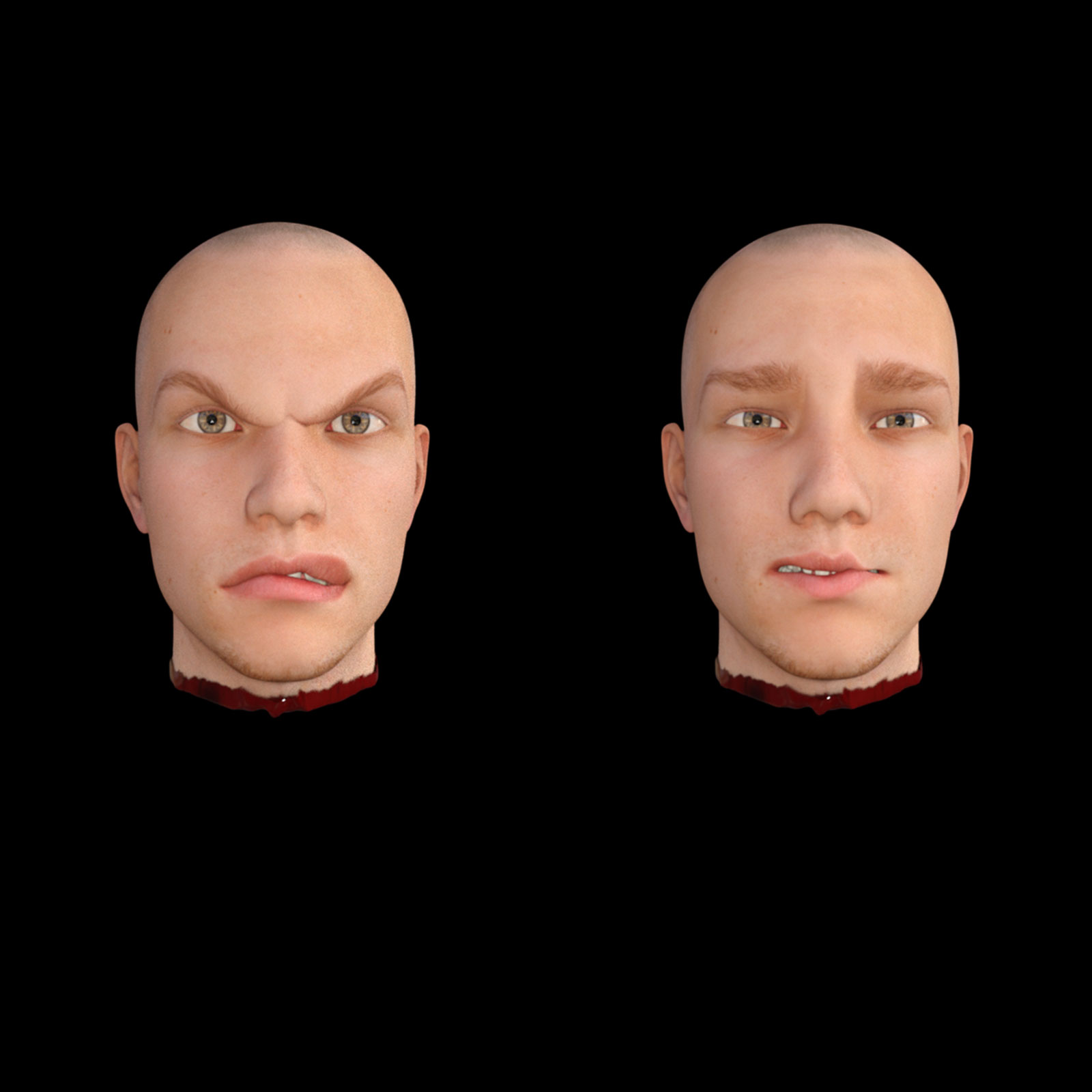Chopped Head for Genesis 3 Male by N/A