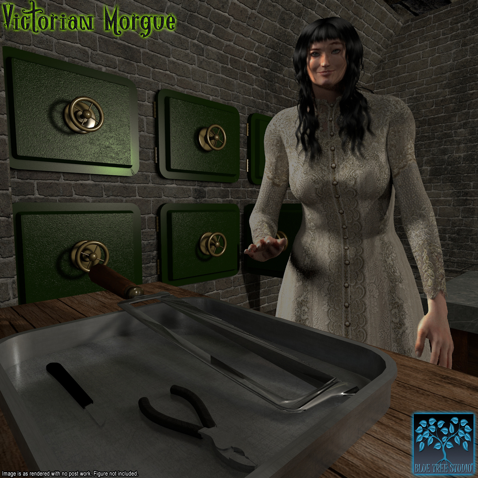 Victorian Morgue by N/A