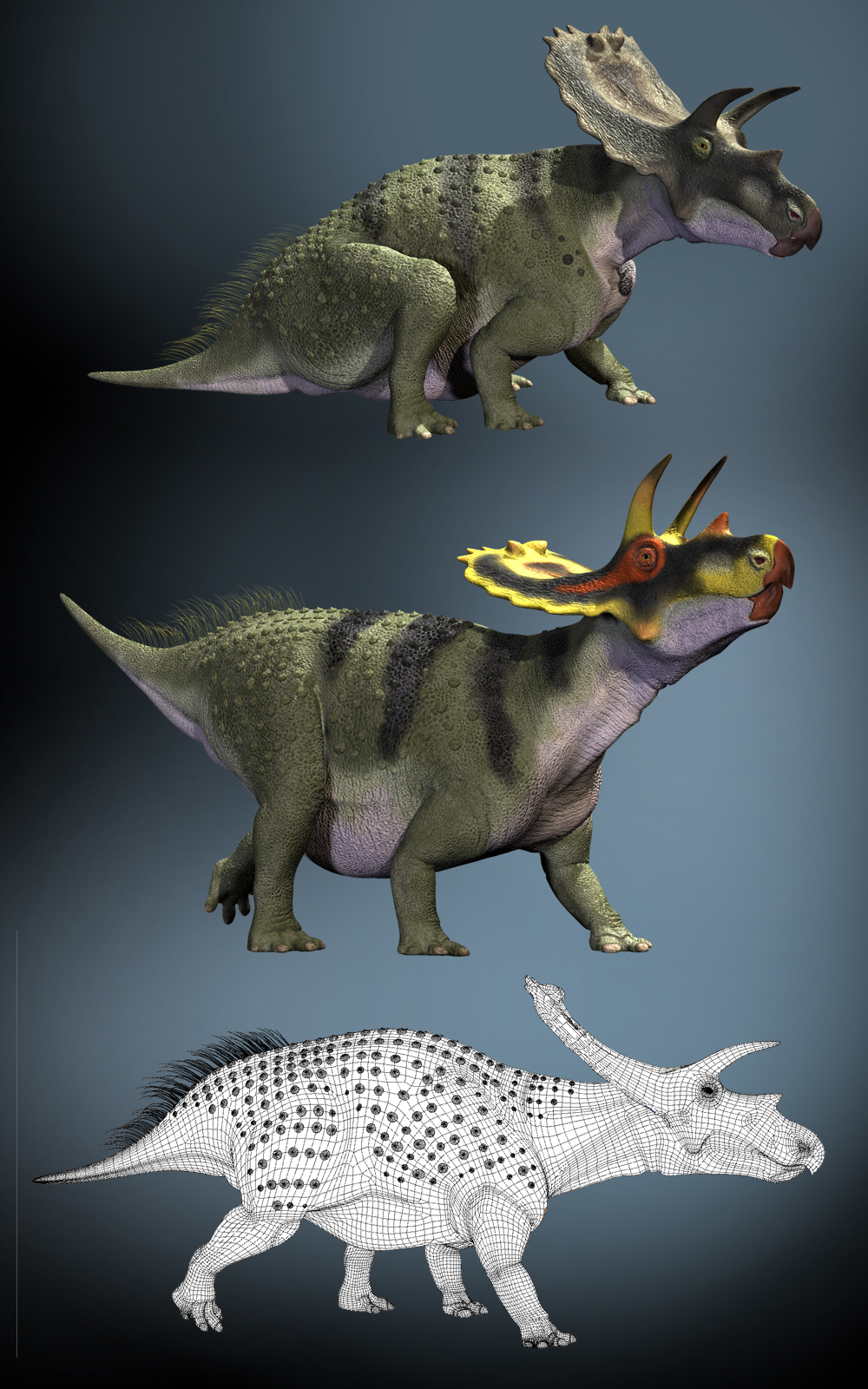 AnchiceratopsDR by N/A