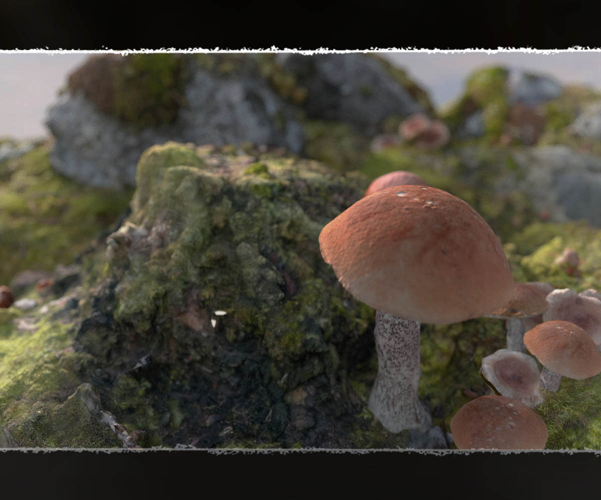 3D Scenery: Fairy Shroom World by N/A