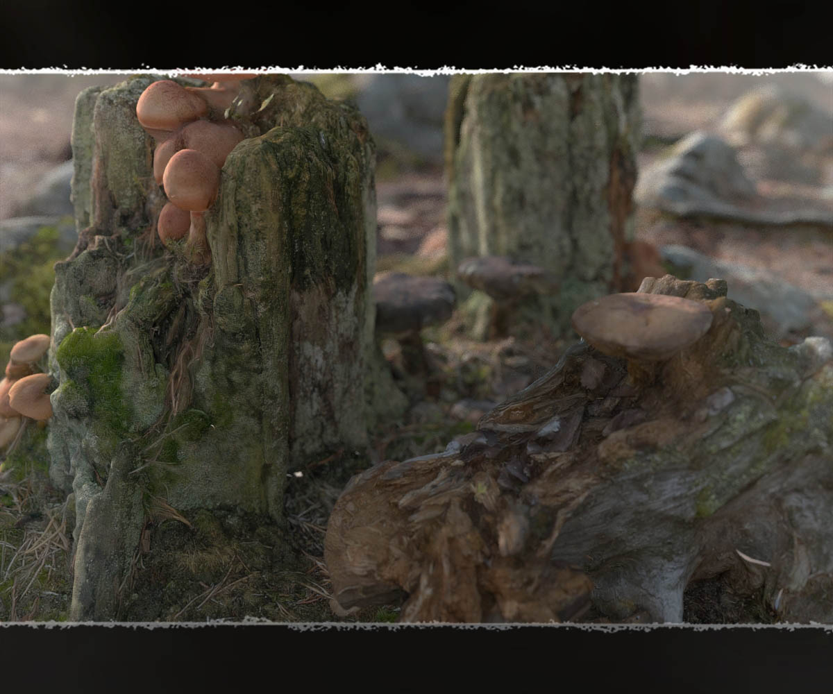 3D Scenery: Fairy Shroom World by N/A