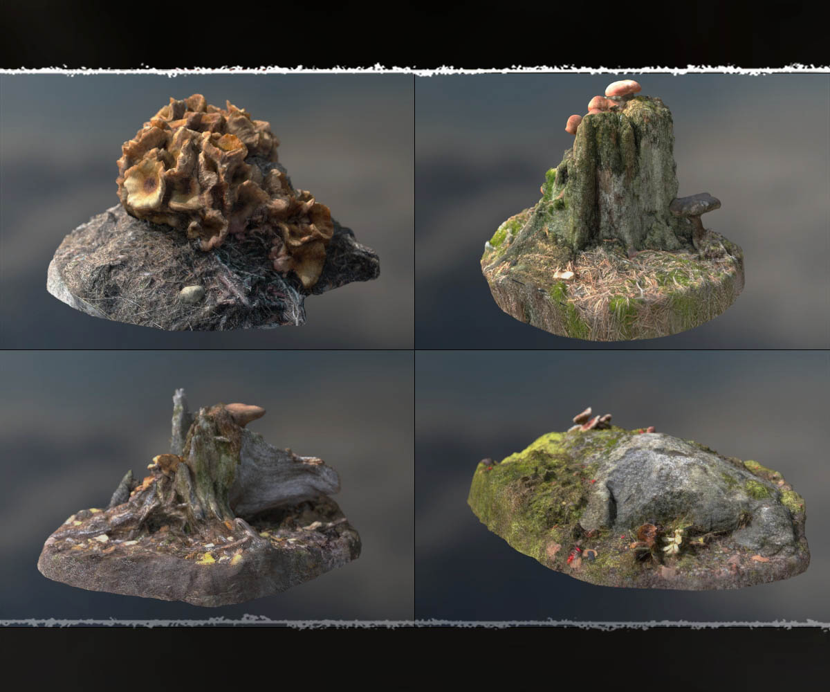 3D Scenery: Fairy Shroom World by N/A