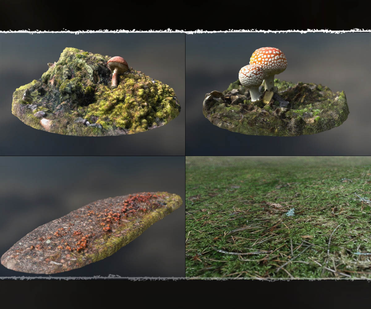 3D Scenery: Fairy Shroom World by N/A