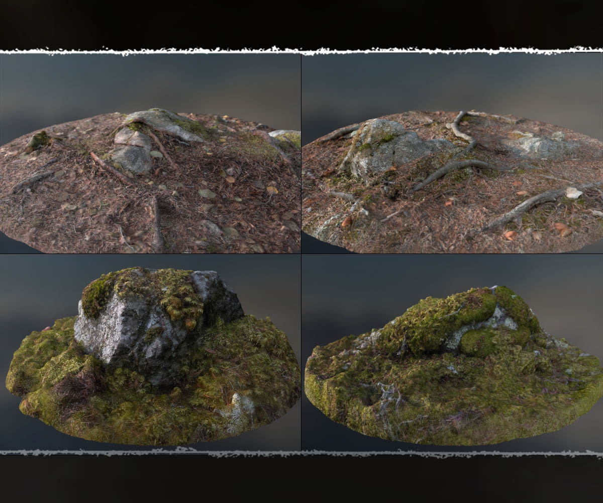 3D Scenery: Fairy Shroom World by N/A