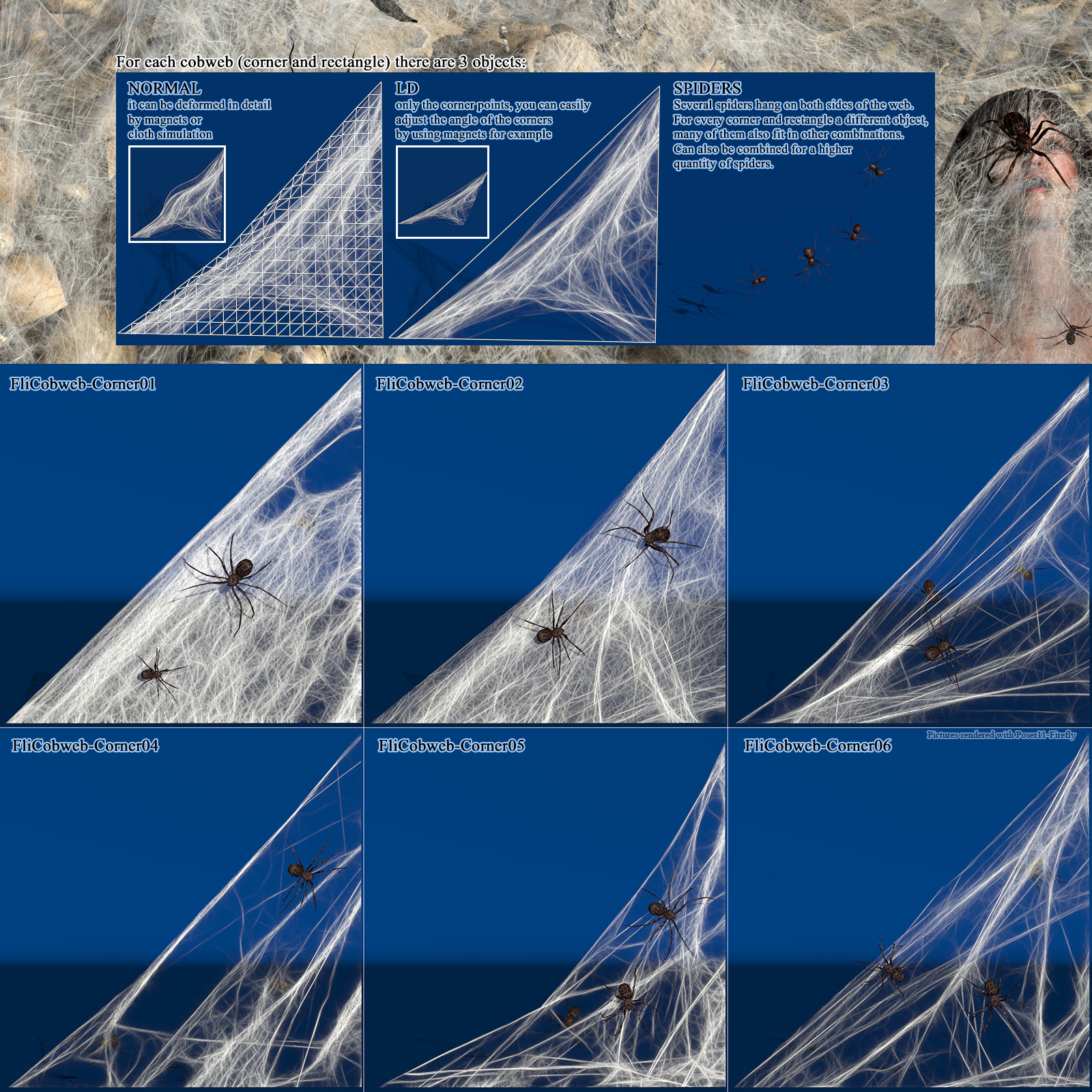 Flinks Cobwebs by N/A