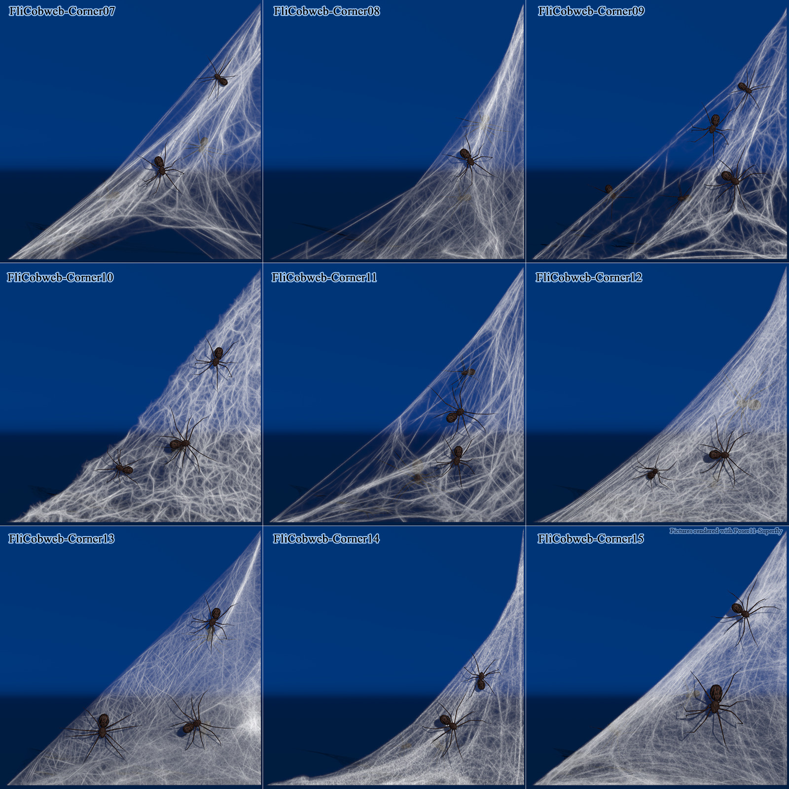 Flinks Cobwebs by N/A