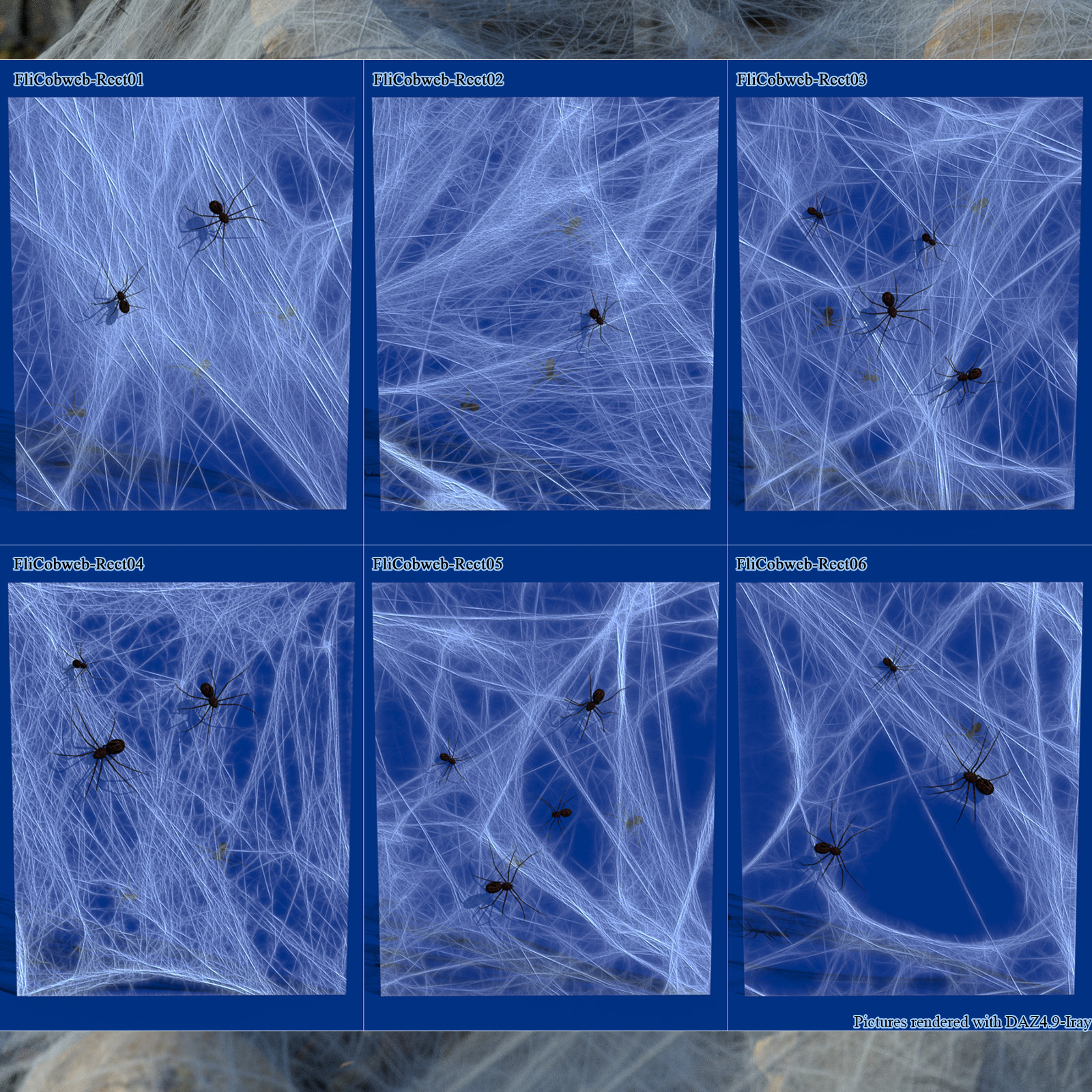 Flinks Cobwebs by N/A