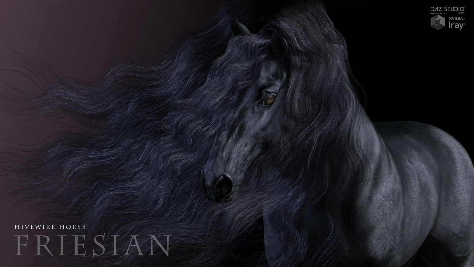 HiveWire Friesian by N/A