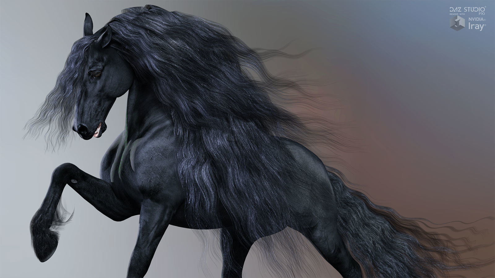 HiveWire Friesian by N/A