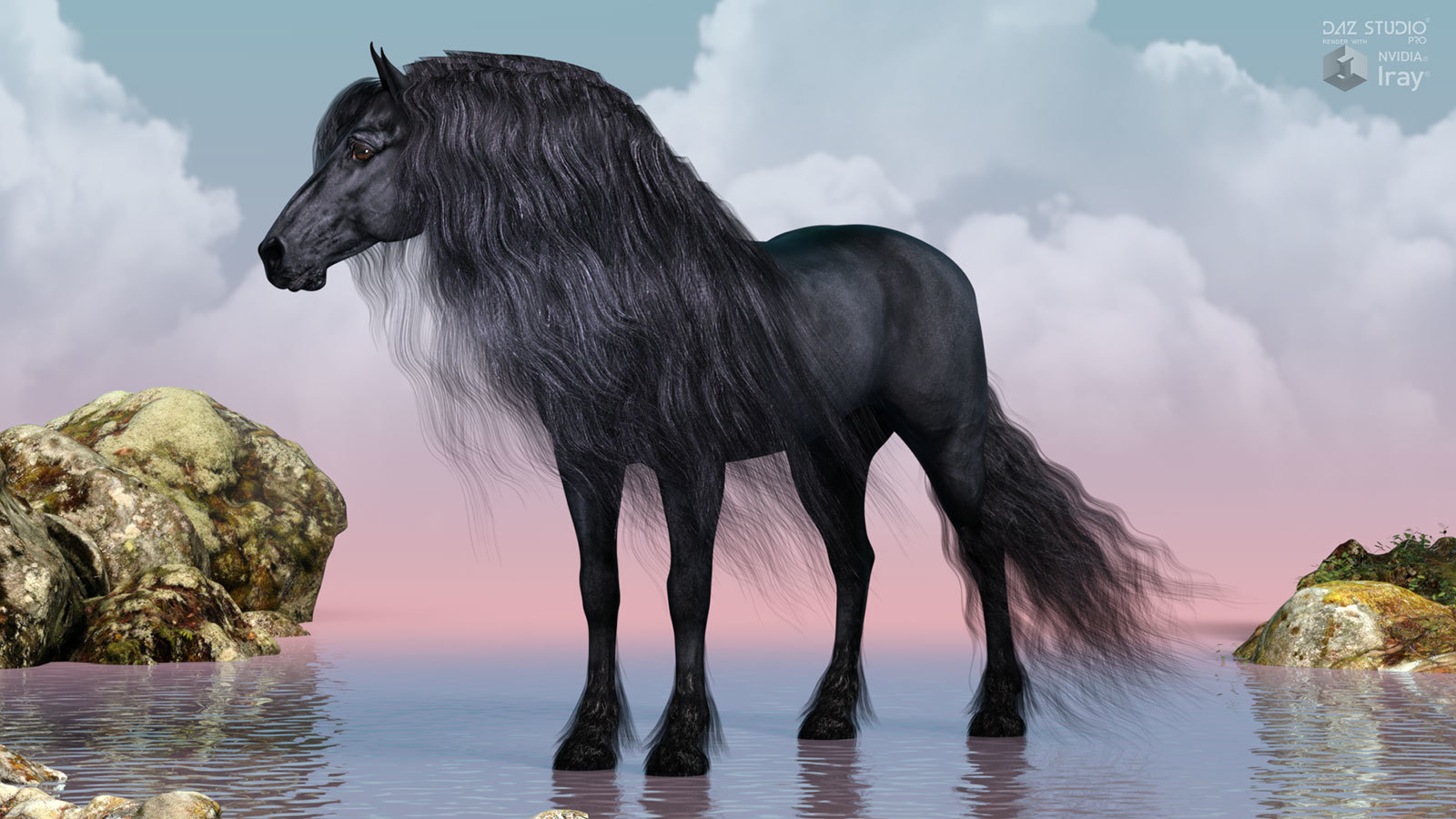HiveWire Friesian by N/A