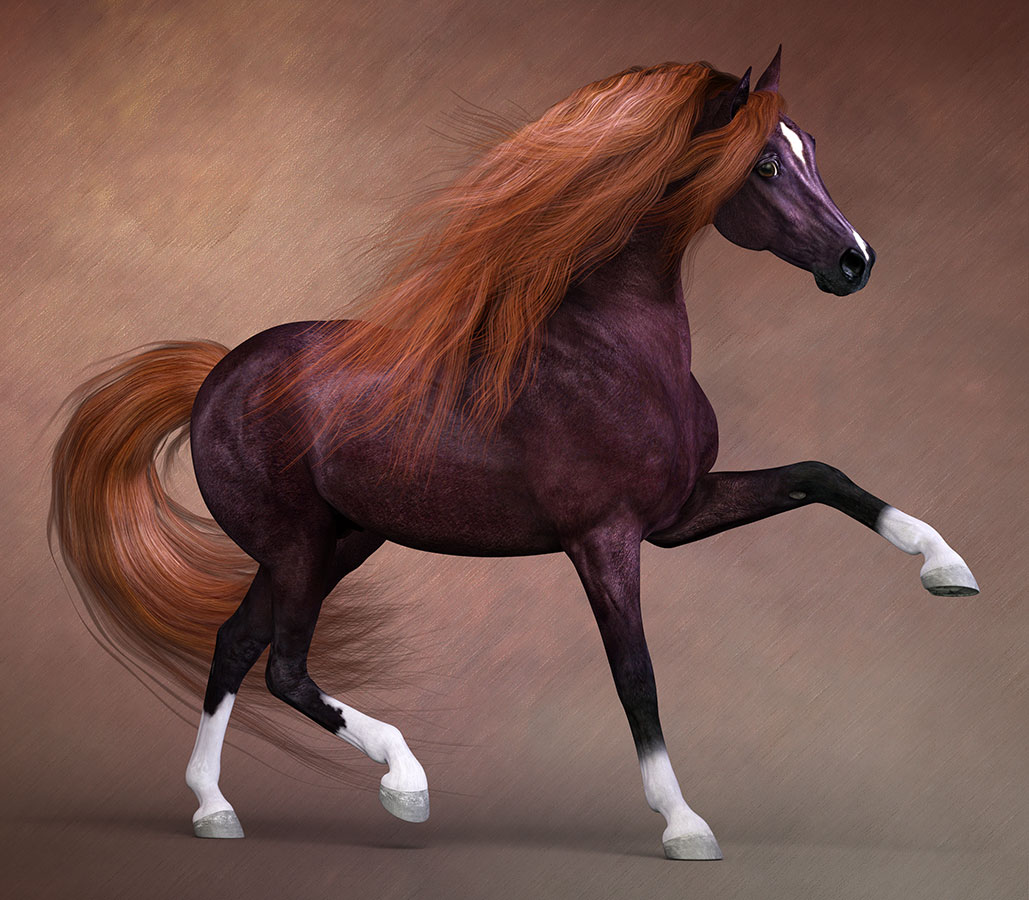 CWRW Liver Chestnut for the HiveWire Horse by N/A