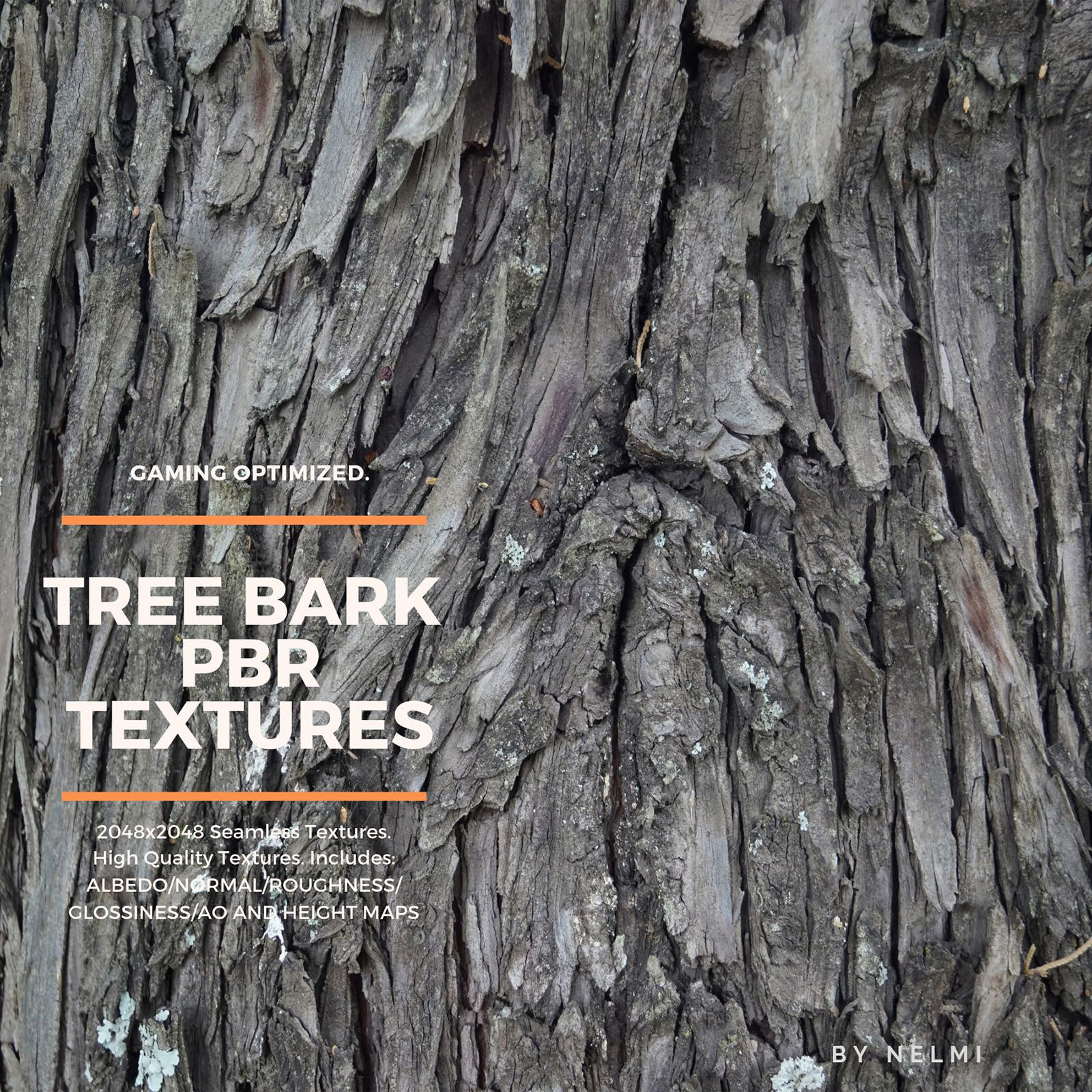 12 PBR Tree Bark Textures with Texture Maps by N/A