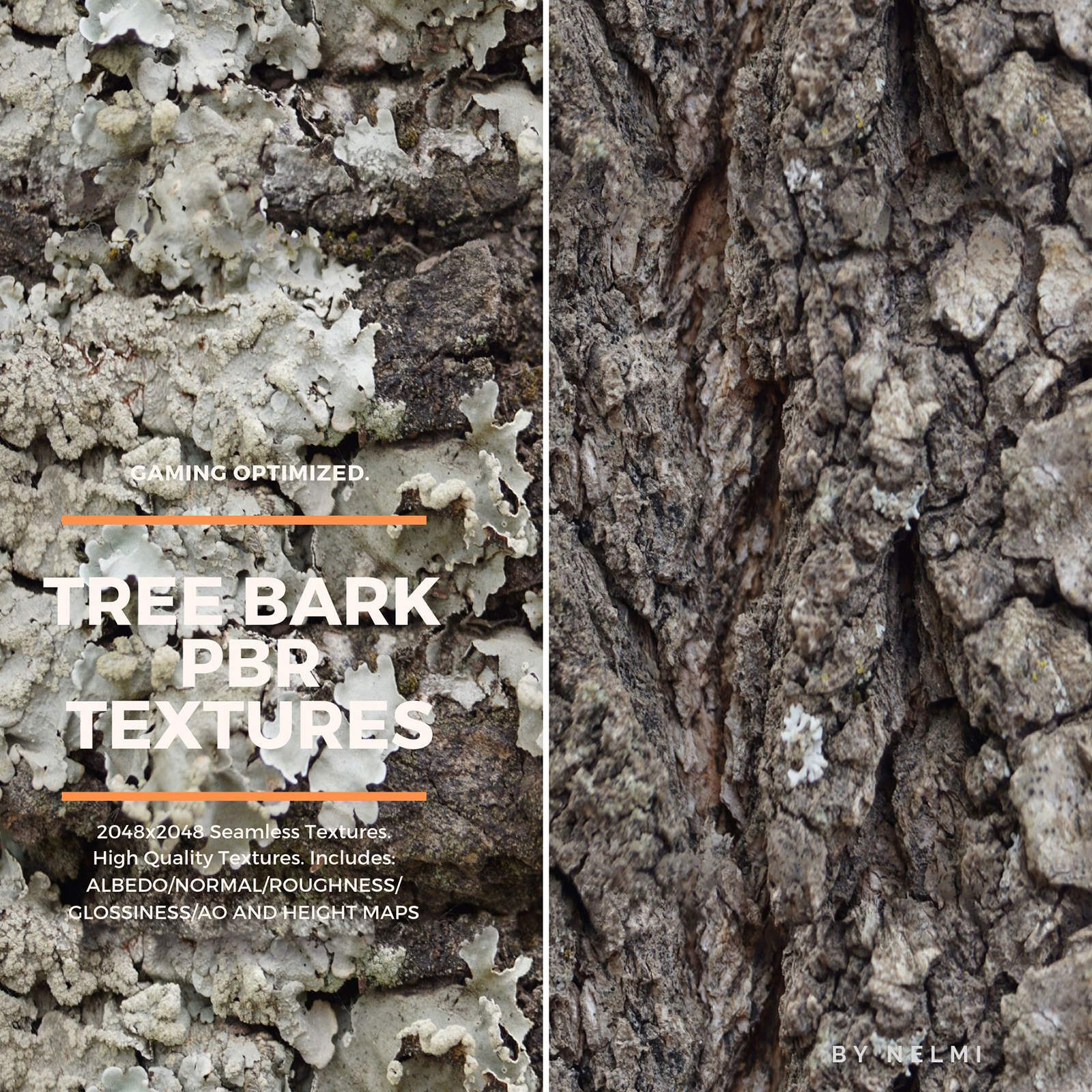 12 PBR Tree Bark Textures with Texture Maps by N/A