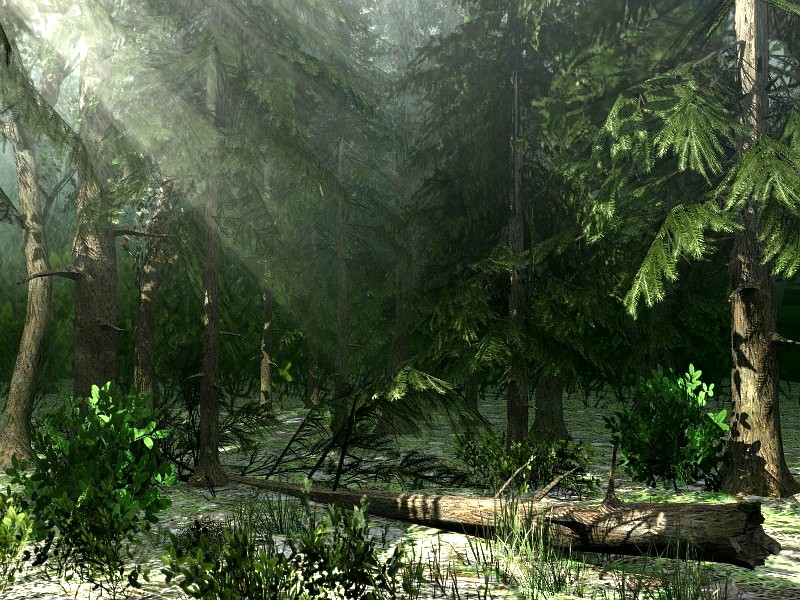 Northern Vegetation - Extended License by N/A