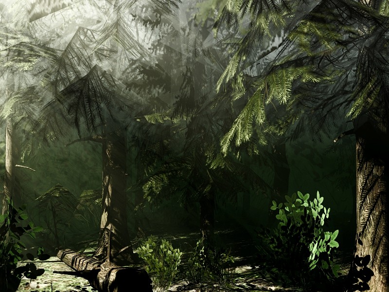 Northern Vegetation - Extended License by N/A