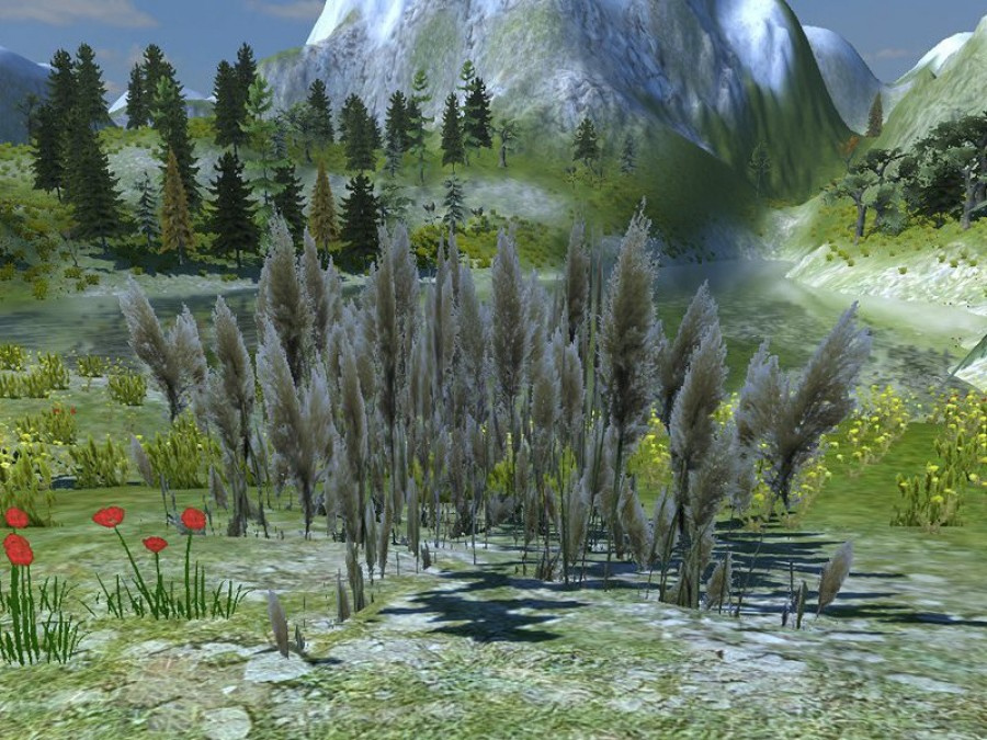 Mountain Rocks - Extended License by N/A