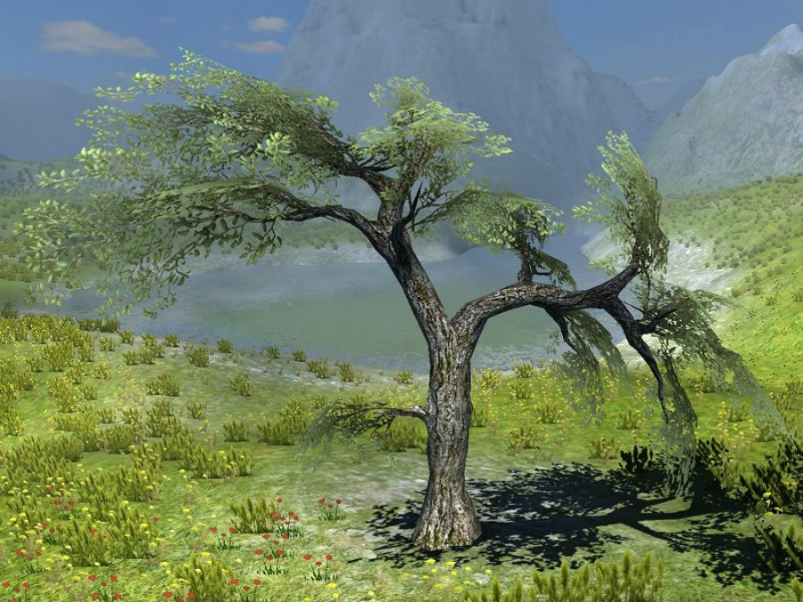 Mountain Rocks - Extended License by N/A