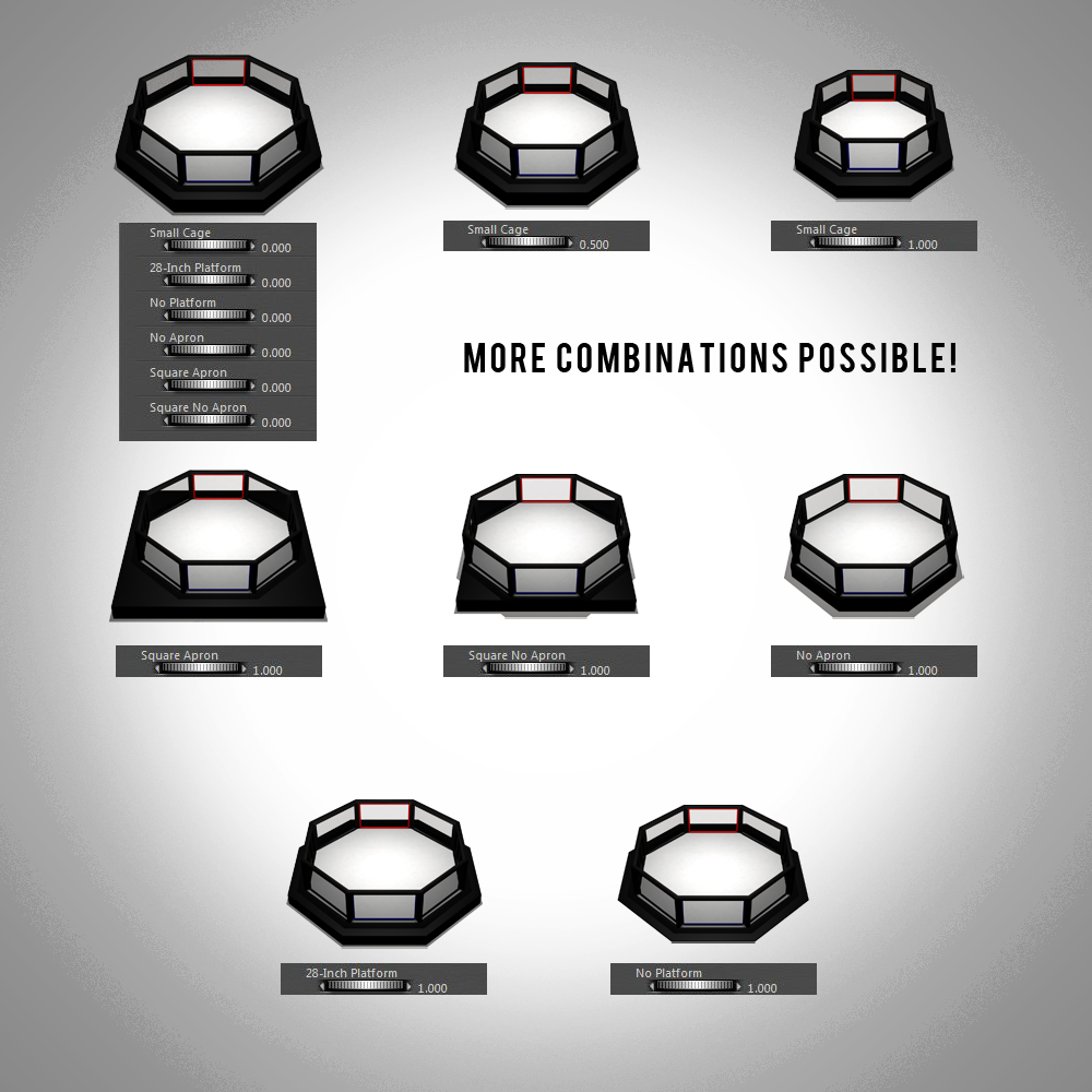 MMA Cage by N/A