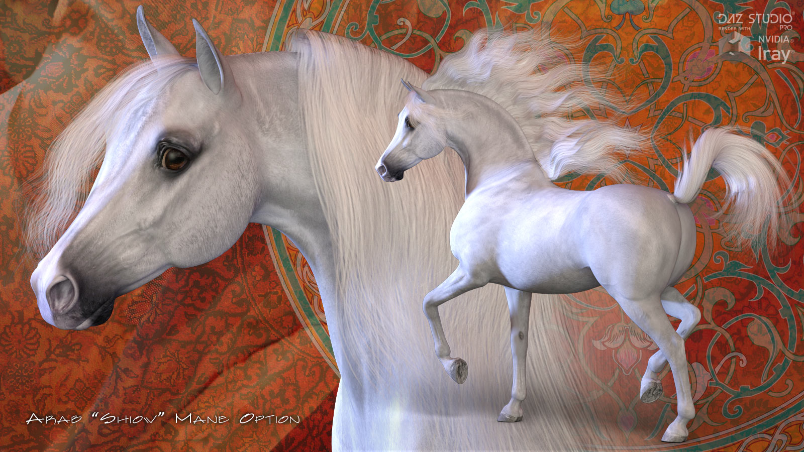 HiveWire Arabian by N/A