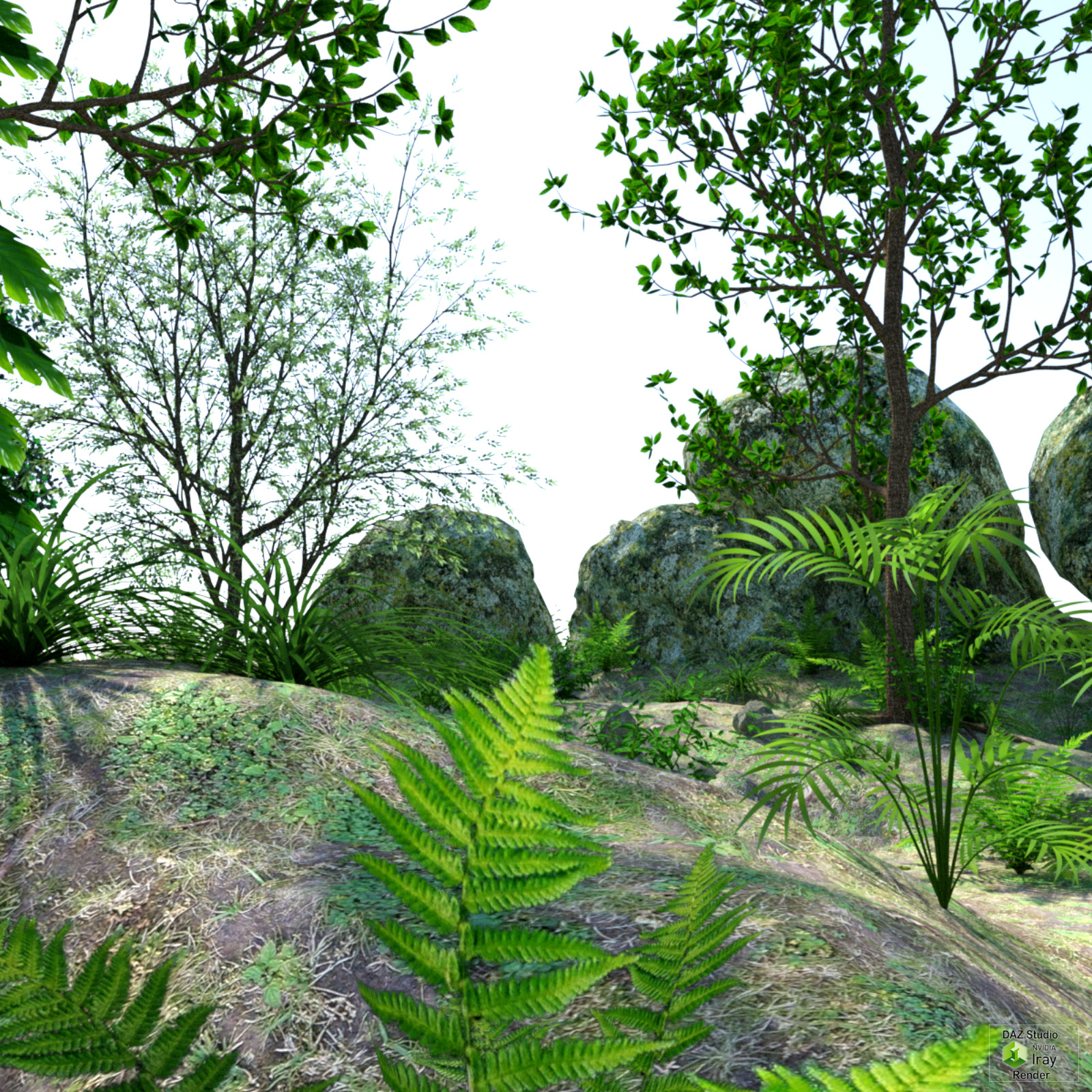 My forest DAZ by N/A