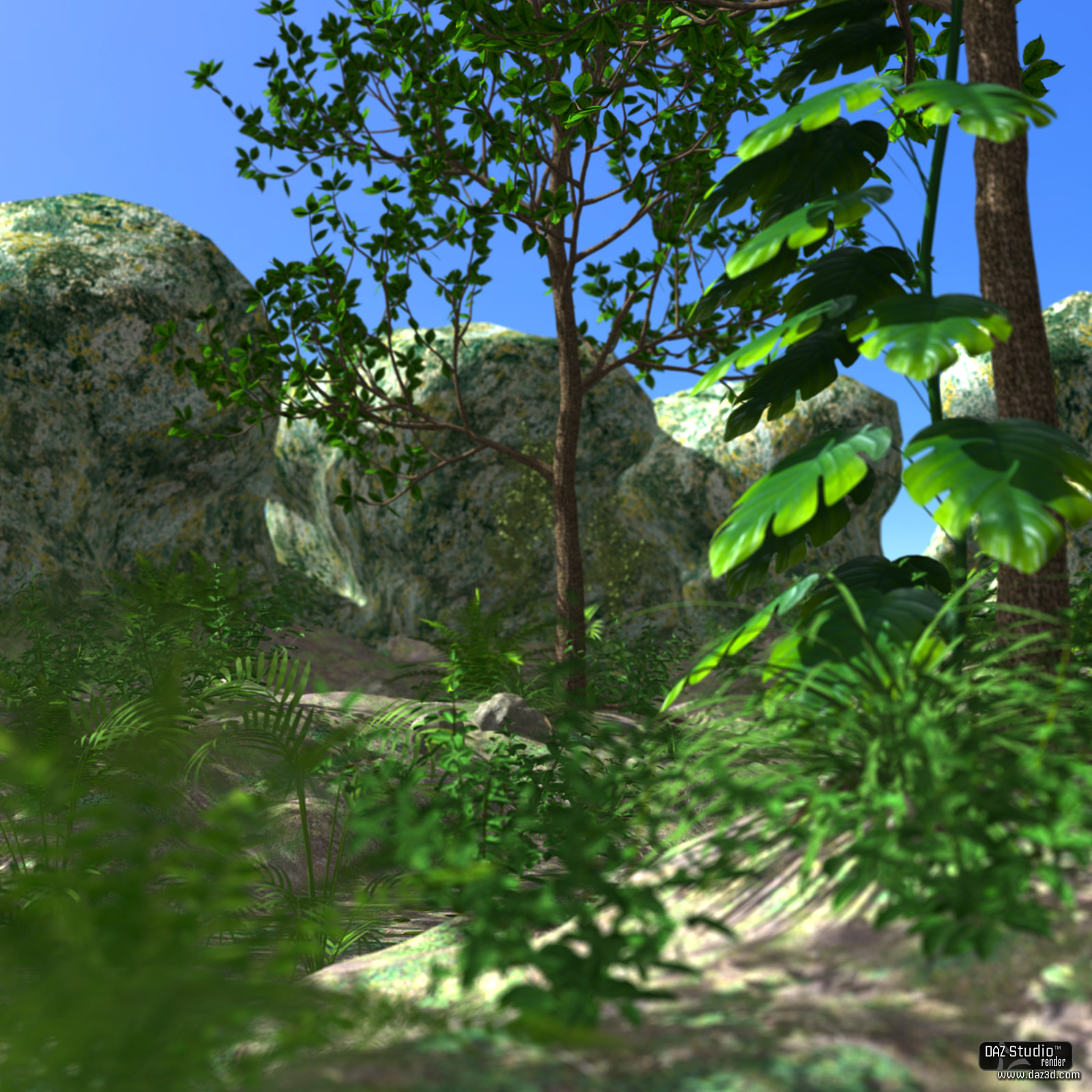 My forest DAZ by N/A