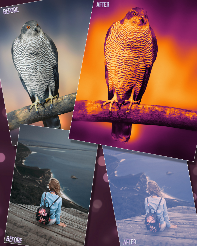 Two Toned Photoshop Actions by N/A